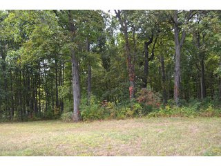 Pond in Dekalb County, Indiana - MAJOR LAND AUCTION - 516+/- ACRES OFFERED IN 18 TRACTS OR COMBINATIONS IN DEKALB COUNTY, INDIANA